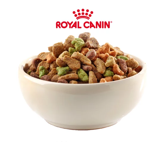 krmivo pre psy a mačky v miske Royal Canin krmivo pre psy a mačky v miske Royal Canin