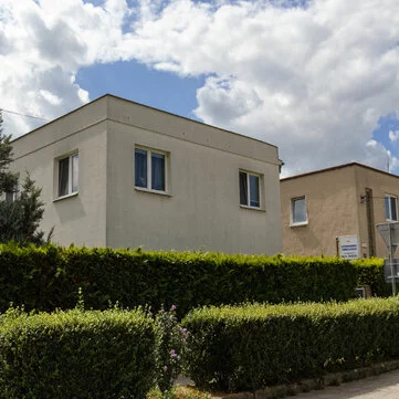 šteniatko mopslíka s vyplazeným jazykom šteniatko mopslíka s vyplazeným jazykom